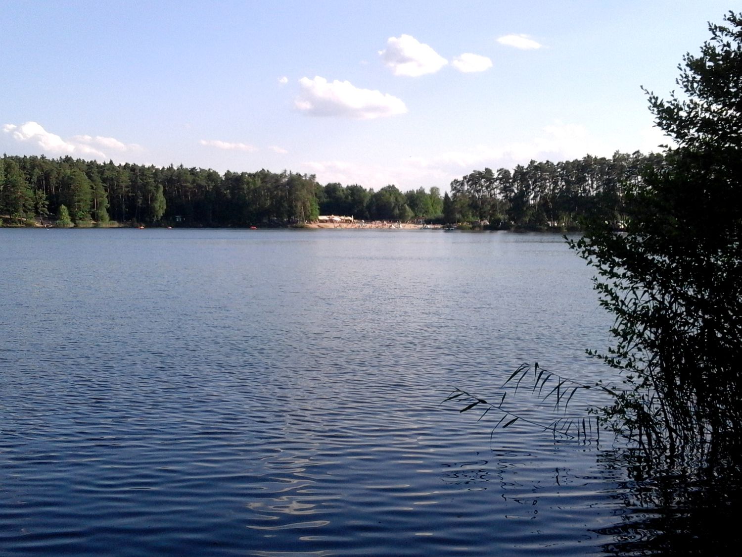 jezioro-srebrne-osowiec-opis-k-pieliska-l-skie-miasta